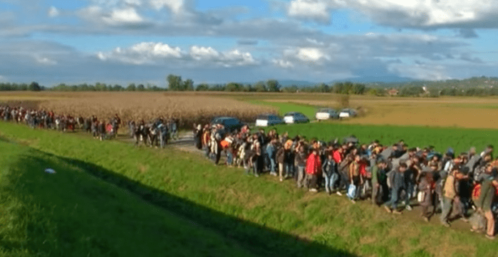 Migration